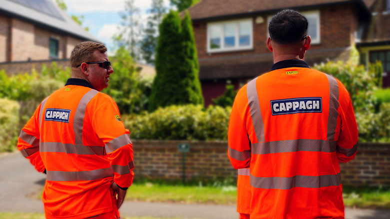 National Capability, Local Service